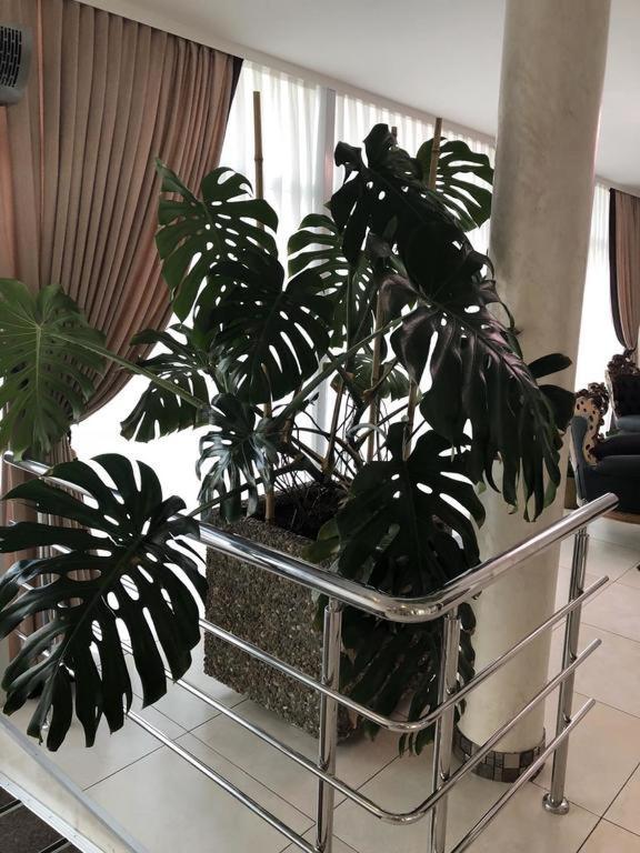 Hotel Перлина Saevka Экстерьер фото